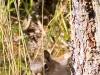 Peekaboo!